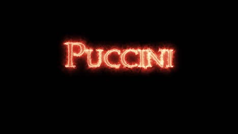 puccini escrito con fuego. bucle