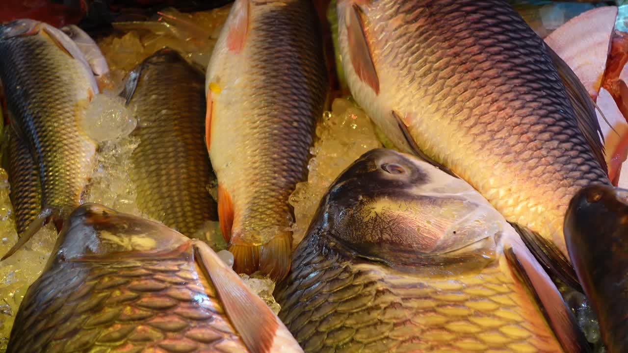 exhibición de pescado fresco en un mercado