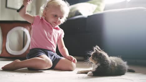 a cat toy breaks while a little girl is playing with a kitten