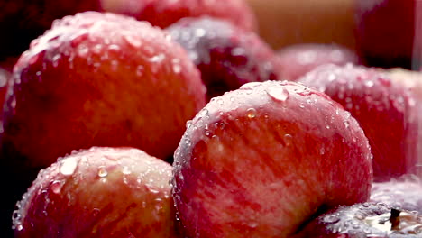 closeup footage of homegrown, organic apples being washed