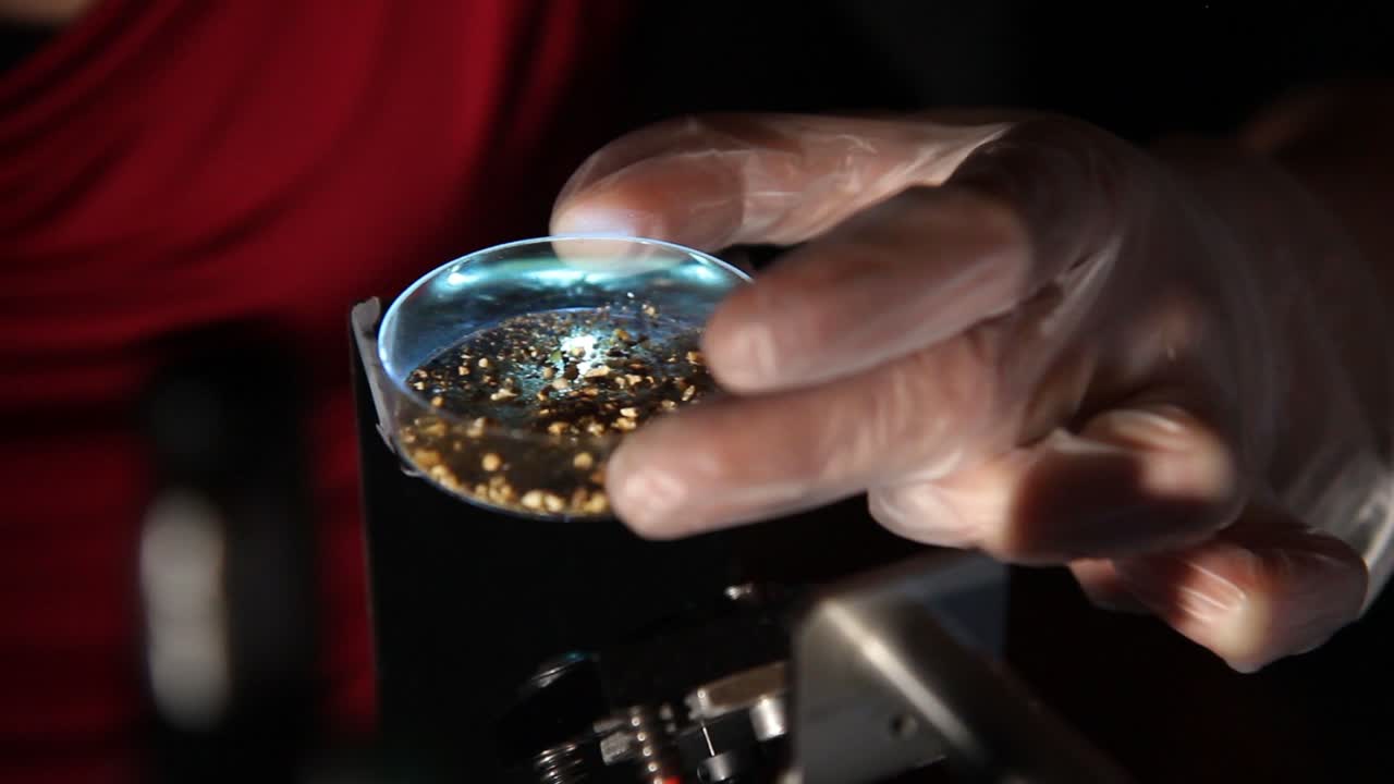 examinando la seguridad alimentaria en el laboratorio de fotónica