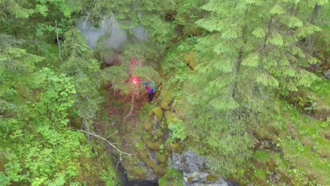 person with flare in forest