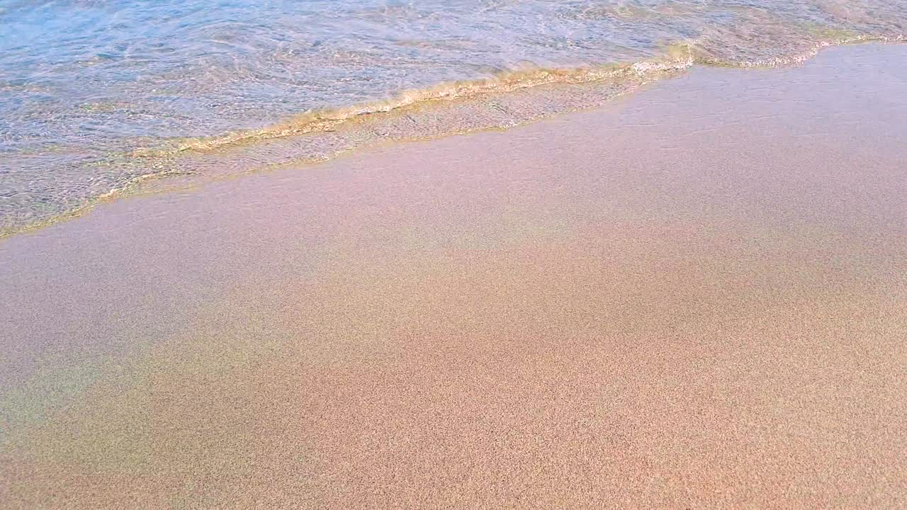 열대 카리브 해 해변의 금 모래, 바다, 휴가, 휴식 및 여행 개념, 원활한 루프