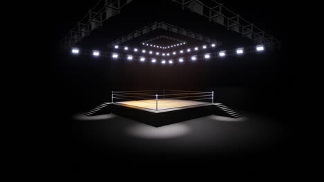 sports wrestling and boxing. sport 4k professional background animation