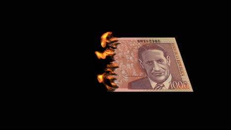 burning 1000 banknote