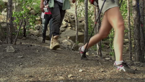 a group of hikers walks determinedly through the forest