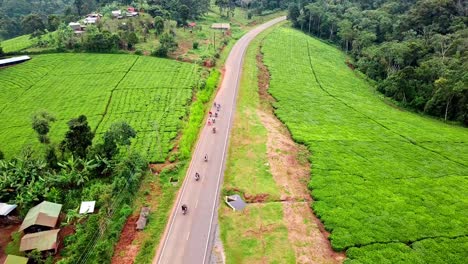 Jinetes-Montando-Motocicletas-En-El-Camino-Entre-La-Plantación-De-Té-Verde-En-Chogoria,-Kenia