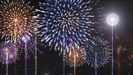 vibrant fireworks illuminating the dark night sky