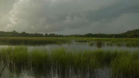 Serene-shot-of-an-Indian-river-gently-flows-through-a-lush-forest