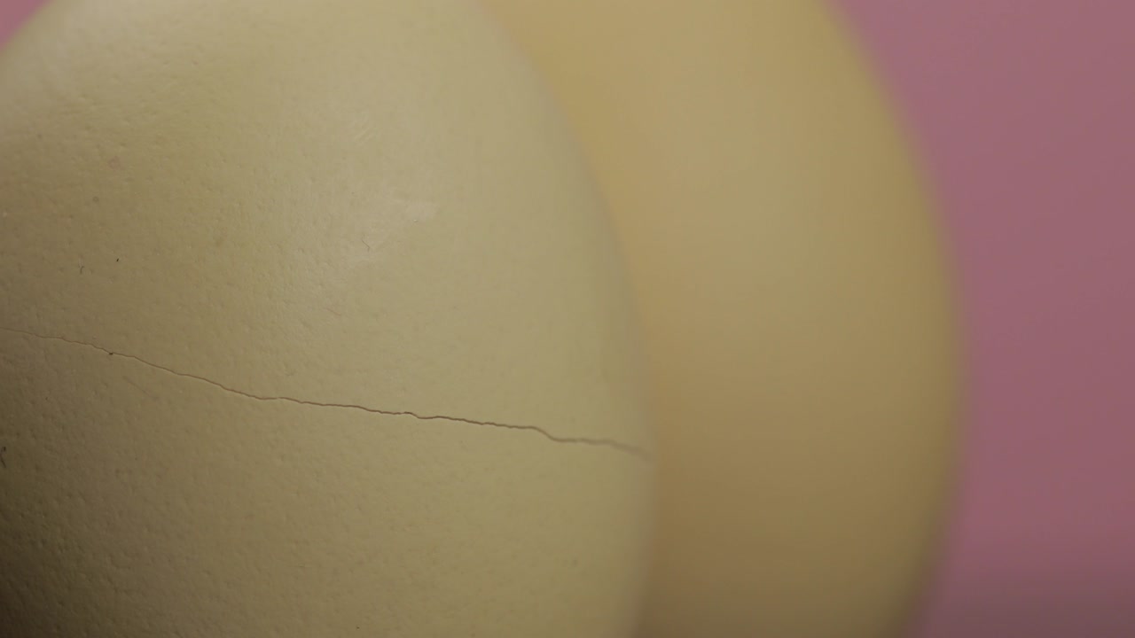 huevo de eclosión. cáscara de huevo dividida en fondo rosa. concepto de esperanza saliendo