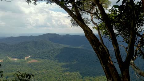 Panorama-of-tropical-rainforest-mountains-at-Gunung-Panti,-Malaysia
