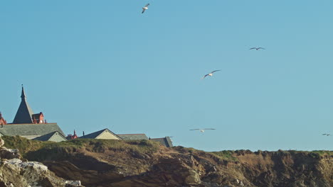 Gaviotas-Volando-Sobre-Los-Tejados-Y-Acantilados-De-Las-Cabañas-Del-Hotel-Headland,-Newquay,-Cornwall---Teleobjetivo