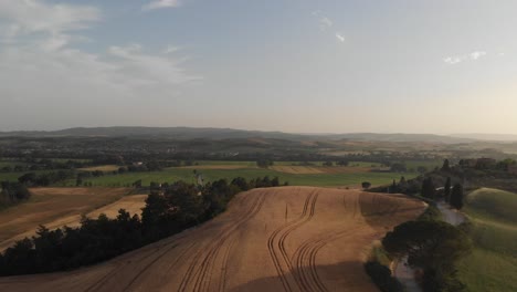 Drone-Se-Eleva-Sobre-El-Campo-De-Trigo-En-La-Romántica-Toscana,-Gaviota-Volando,-Noche-De-Verano