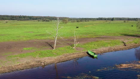 Drone-shot-featuring-a-docked-fishing-boat-by-the-shore,-while-a-herd-of-bison-forms-a-backdrop-in-the-distance