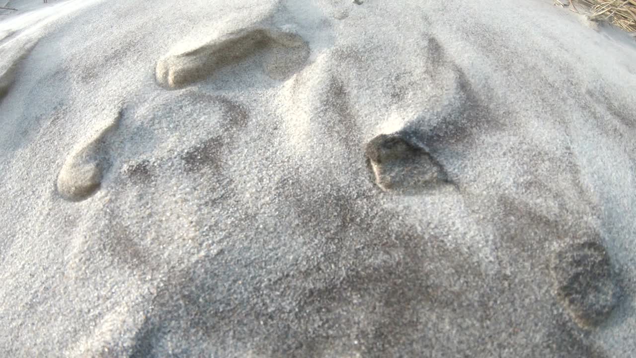 Sand dunes with dune grass in the storm of the North Sea, hiking dunes, dike protection, Sondervig, Jutland, Denmark, 4k