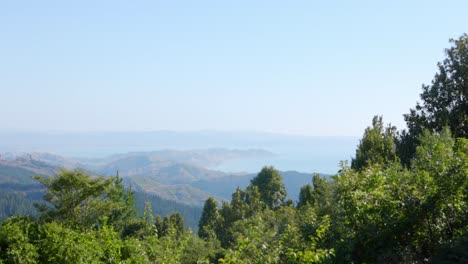 an extreme wide shoot looking over a forest and out to the sea