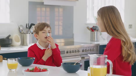 brother and sister wearing school uniform in kitchen have fun hanging spoon from nose at breakfast