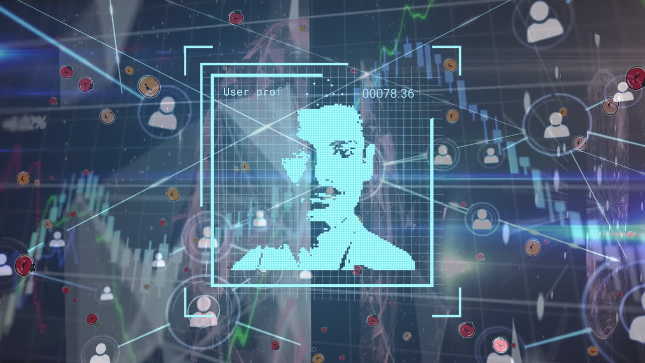 animación de la red de conexiones a través del procesamiento de datos