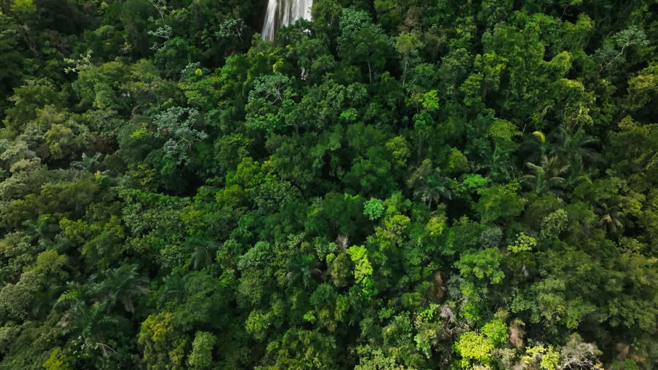 Scenic overhead footage of El Limón Waterfall surrounded by jungle greenery, capturing the beauty of this iconic Dominican Republic travel destination from above.