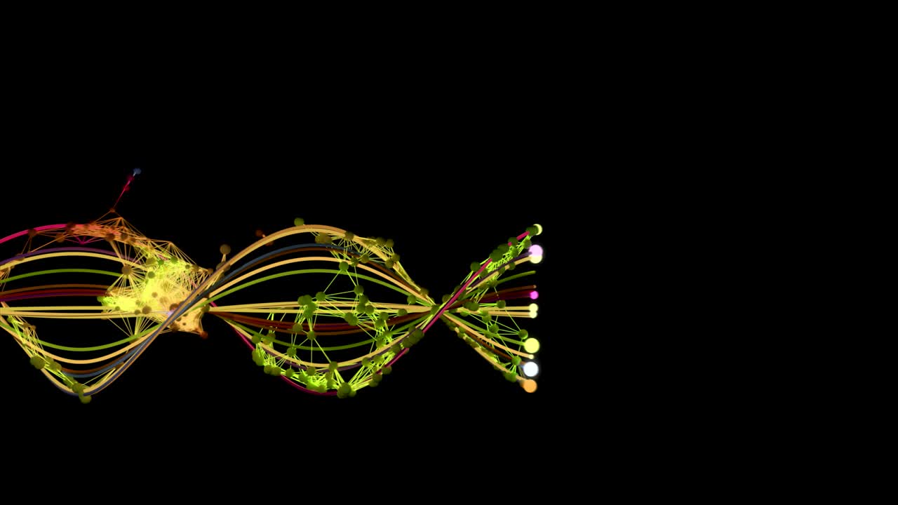 Molecular Network Growth.