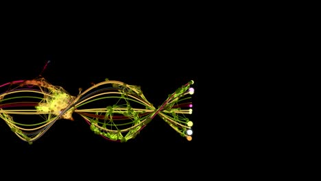 molecular network growth.
