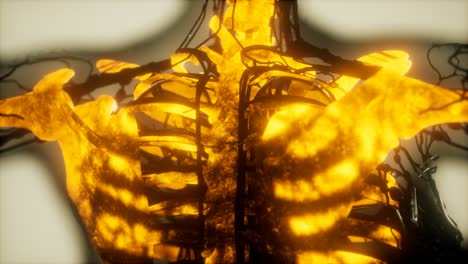 human skeleton bones scan glowing