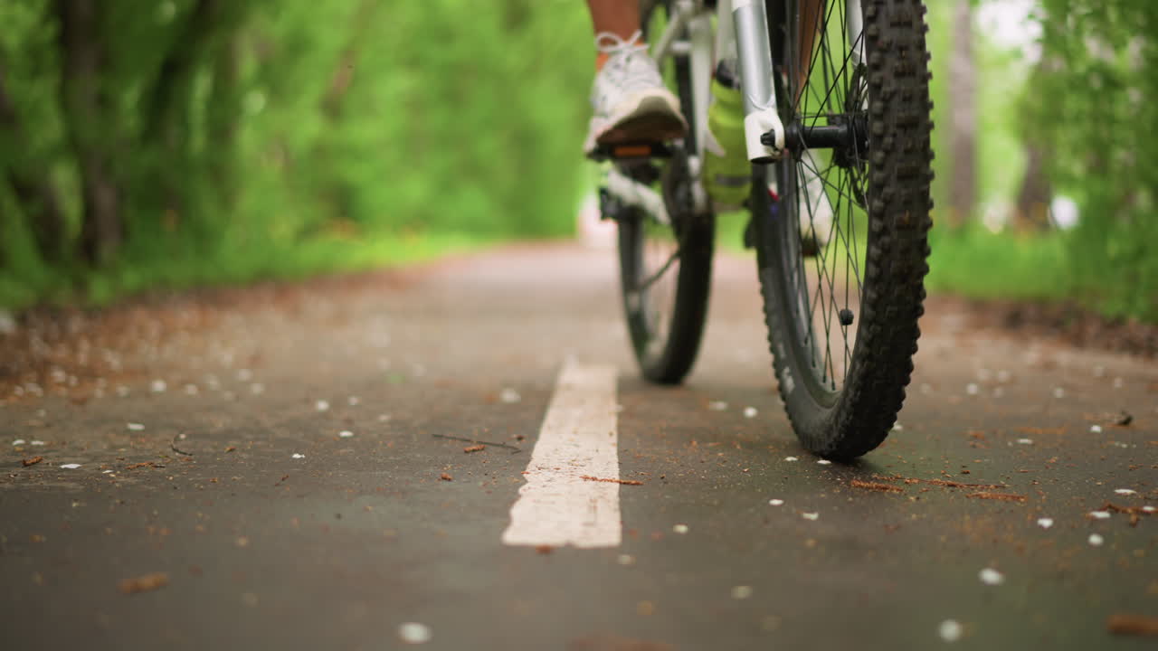 LowAngle Wheel Shot On Forest Path, White Woman Builds Momentum Over LeafStrewn Pavement, Spinning Tread And Distant Tree Tunnel, Subtle Motion Blur And Natural Green Palette For Lifestyle