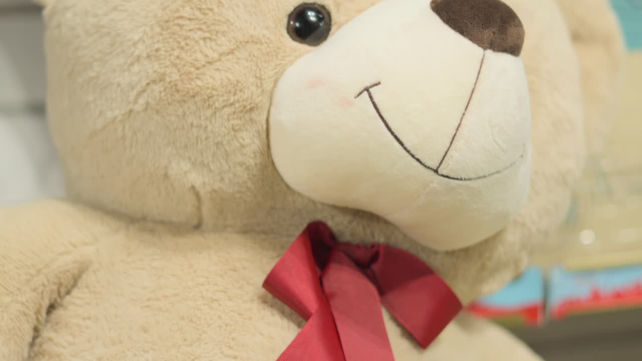 off white colour teddy bear fcae to leg closeup view