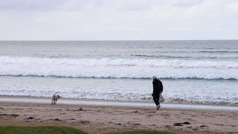 elderly woman walking dog along the beach