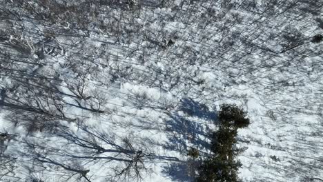 Aerial-establishing-shot-of-Japan-snowy-valley-near-the-Nagano-Myoko-Yamanochi-region