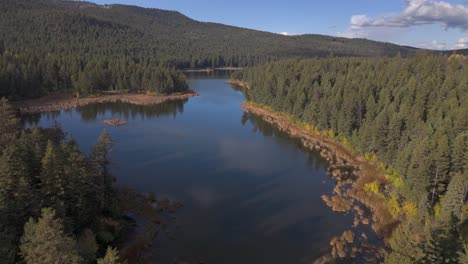 mcqueen lake's tranquil aerial showcase: a beautiful lake nestled amid pristine spruce forest in british columbia