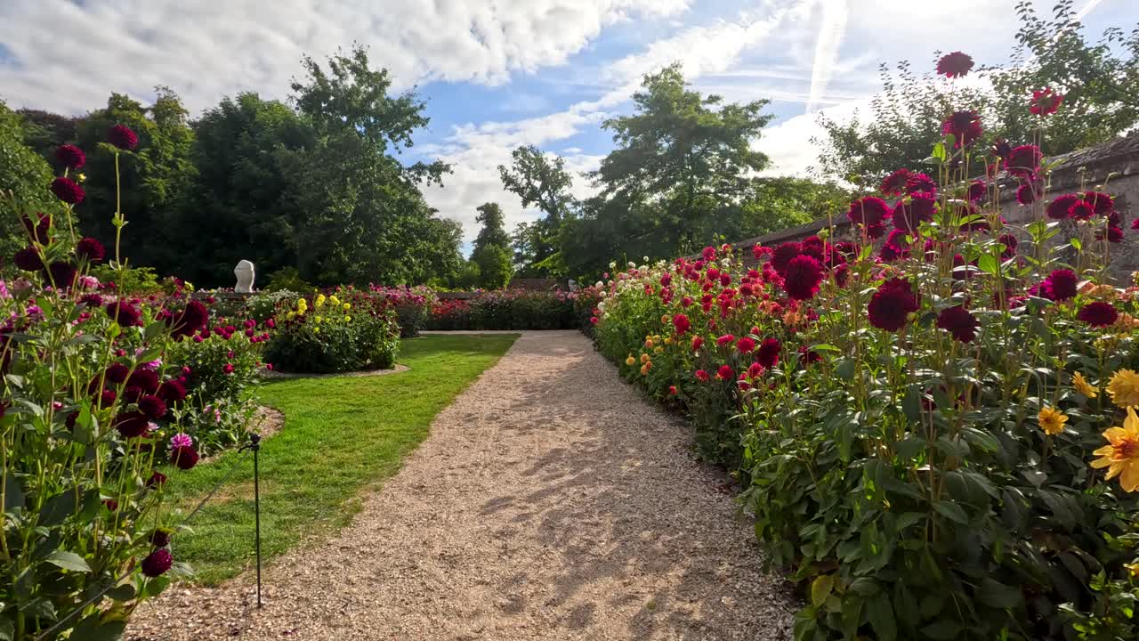 Câmera estável desliza por um caminho de cascalho alinhado com dálias vibrantes em um jardim botânico
