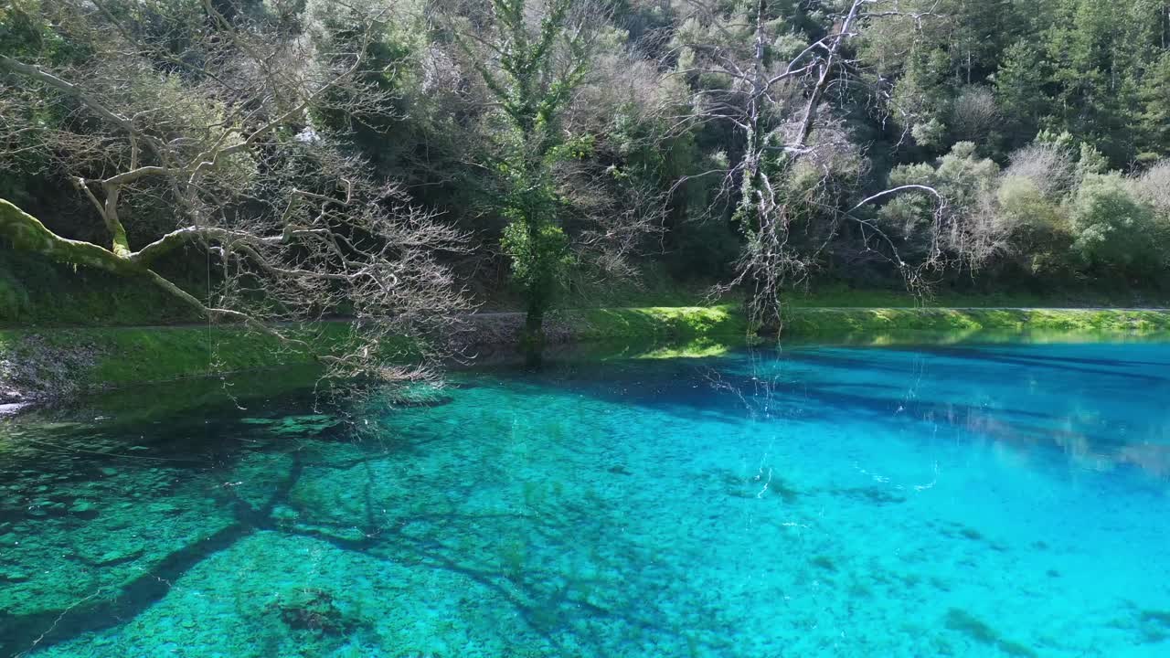 Volo cinematografico di un drone che sfiora la superficie delle vivaci sorgenti blu del Louros. Vista dall'alto che rivela alberi sommersi e il mondo sottomarino incontaminato del lago naturale. Senza audio.