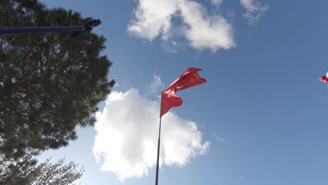 cámara lenta, tiro inclinado, de la bandera nacional de albania, con un campo rojo y un águila bicéfala negra silueteada en el centro, aleteando en la brisa