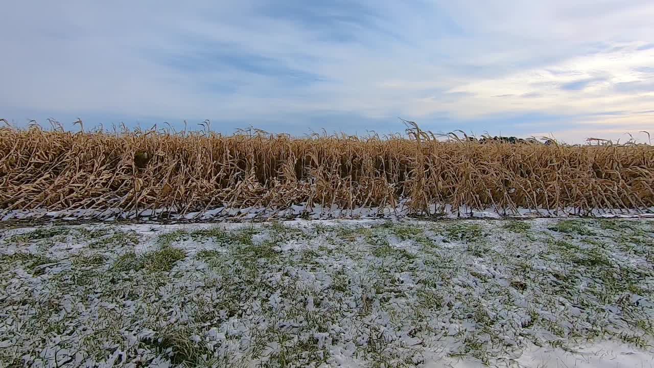 운전석 창밖의 시점
