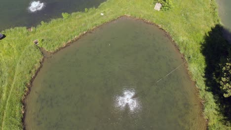 Toma-Aérea-De-Arriba-Hacia-Abajo-De-Estanques-En-Piscifactoría,-Día-Soleado-De-Verano