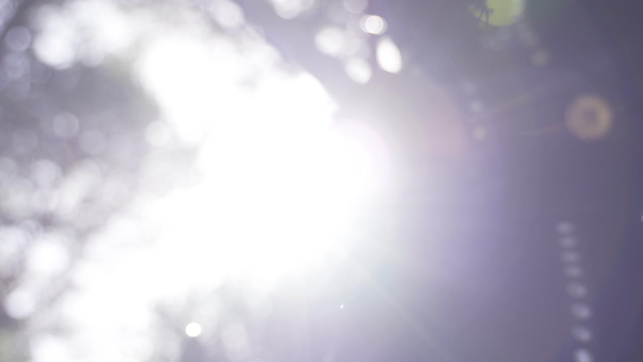 중세 군인과 검.