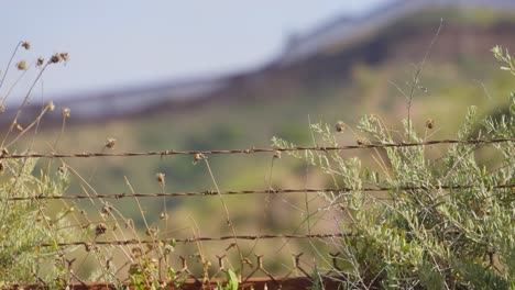 A-close-up-of-barbed-wire-against-a-backdrop-of-natural-landscape-at-the-Mexico-U