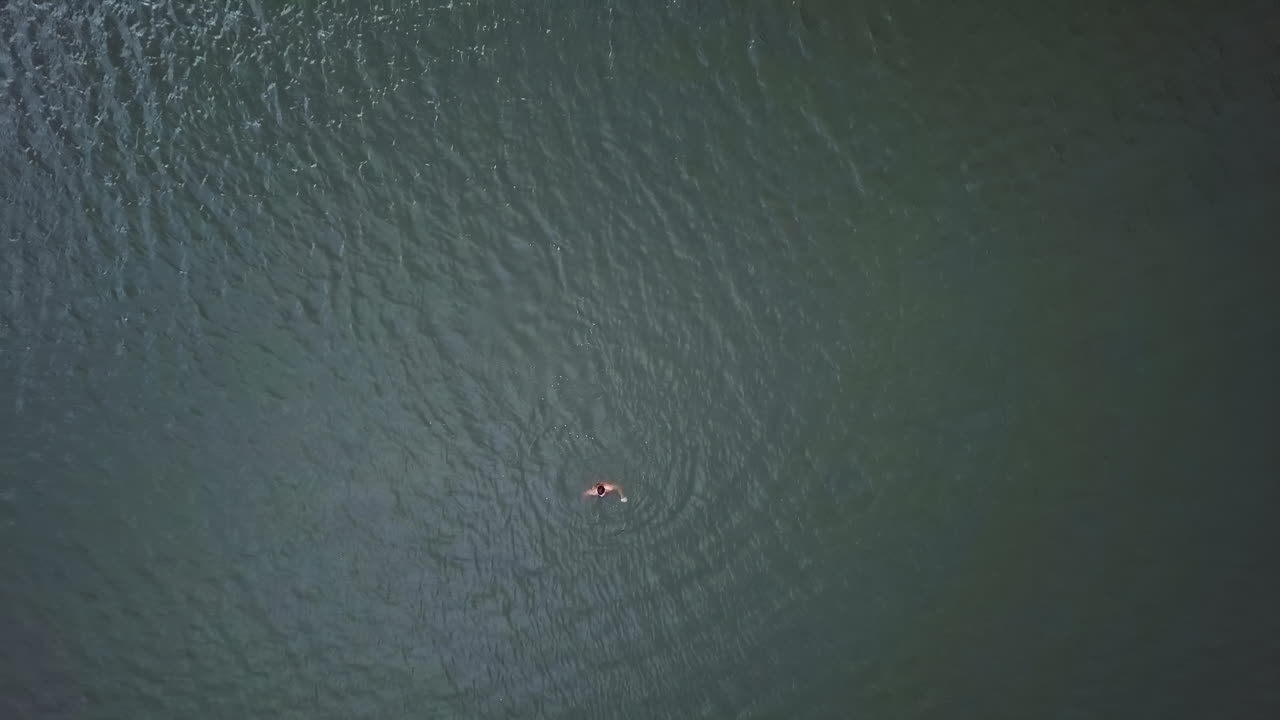 물속에서 수영하는 사람