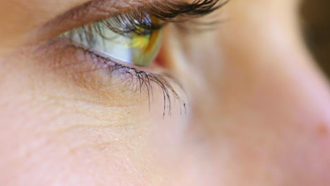 closeup of a woman staring