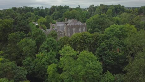 house in the trees, aerial approach shot