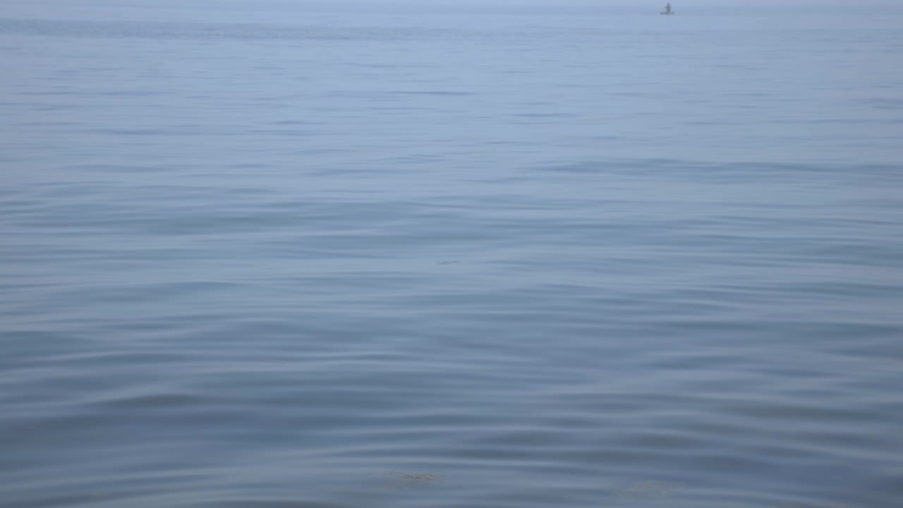 Rippling Water Of The Blue Ocean In Canada - Ripples On The Water. - static shot