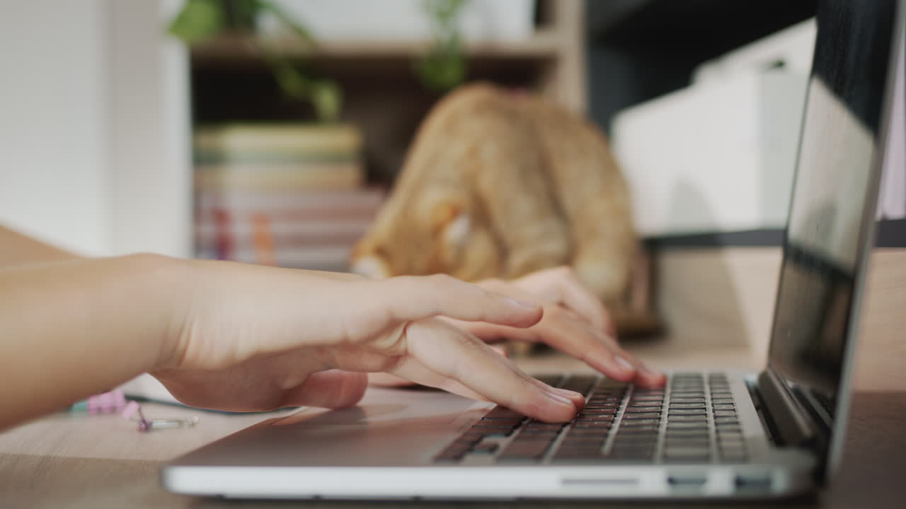 The child's hands are typing text on a laptop keyboard. In the background, a ginger cat