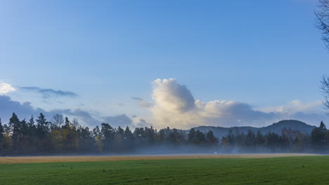 Cloud-Timelapse-in-Blue-Sky-Over-Picturesque-Grass-Meadow-with-Forest-Background