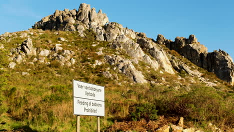 Señal-De-Prohibido-Alimentar-A-Los-Babuinos-En-El-Mirador-De-Sir-Lowry&#39