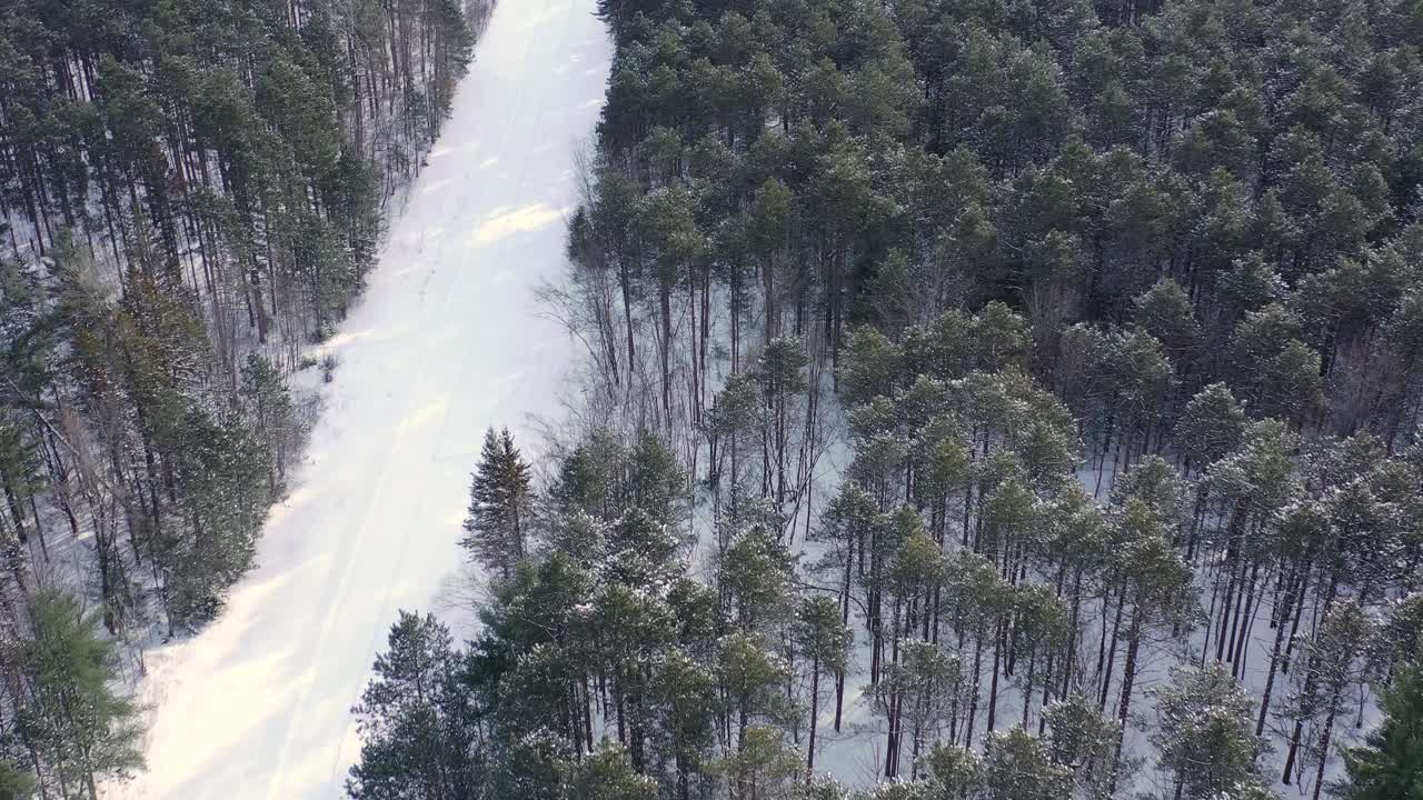 Riprese con drone di alberi - natura durante l'inverno.