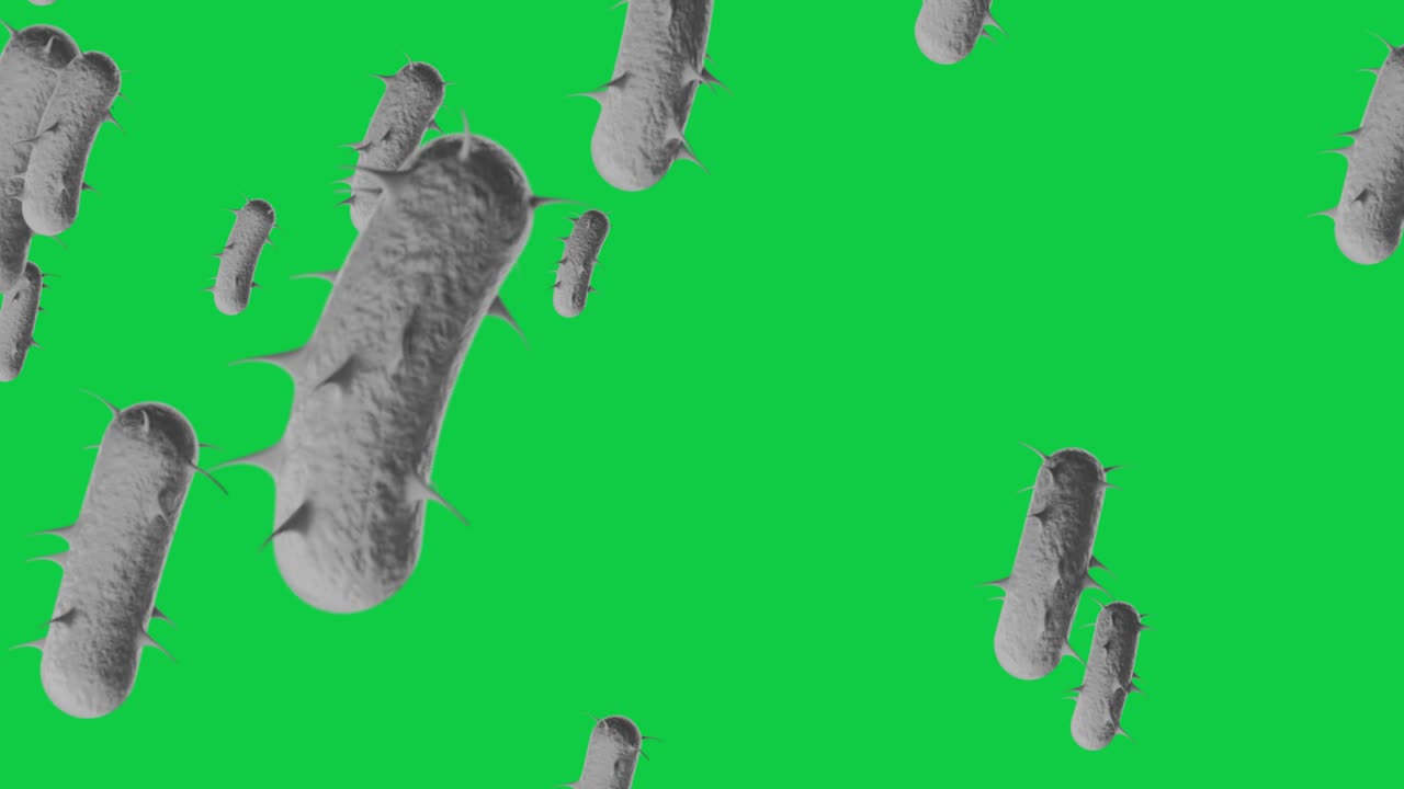 4k 현미경 박테리아 의학적 배경 - 루프, 루프 가능한 박테리아 - 떠다니는 e. coli 박테리아 (박테리아) - 세균 - bacrerium의 3d 애니메이션. spirilla - 박테리아 클로즈업 - 크로마 키