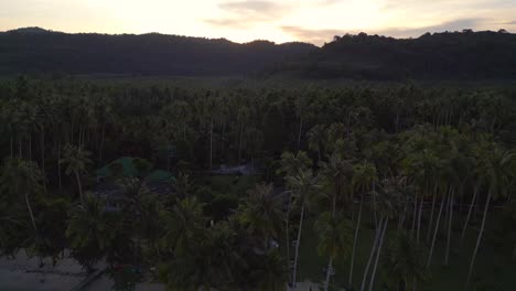 Die-Ersten-Sonnenstrahlen-Des-Tages-über-Dem-Palmendschungel