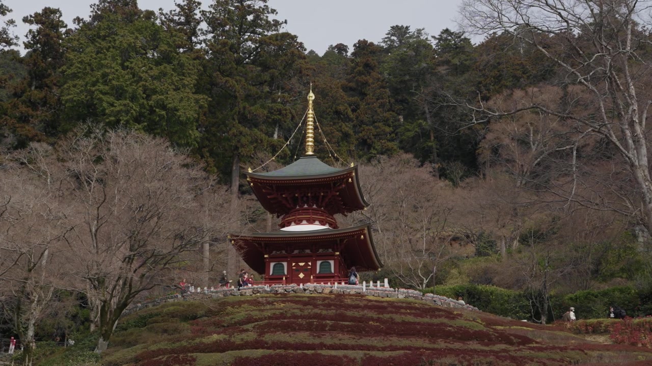 Rød træpagode med gyldent spir på en skovklædt bjergside ved Katsuoji-templet i Osaka.