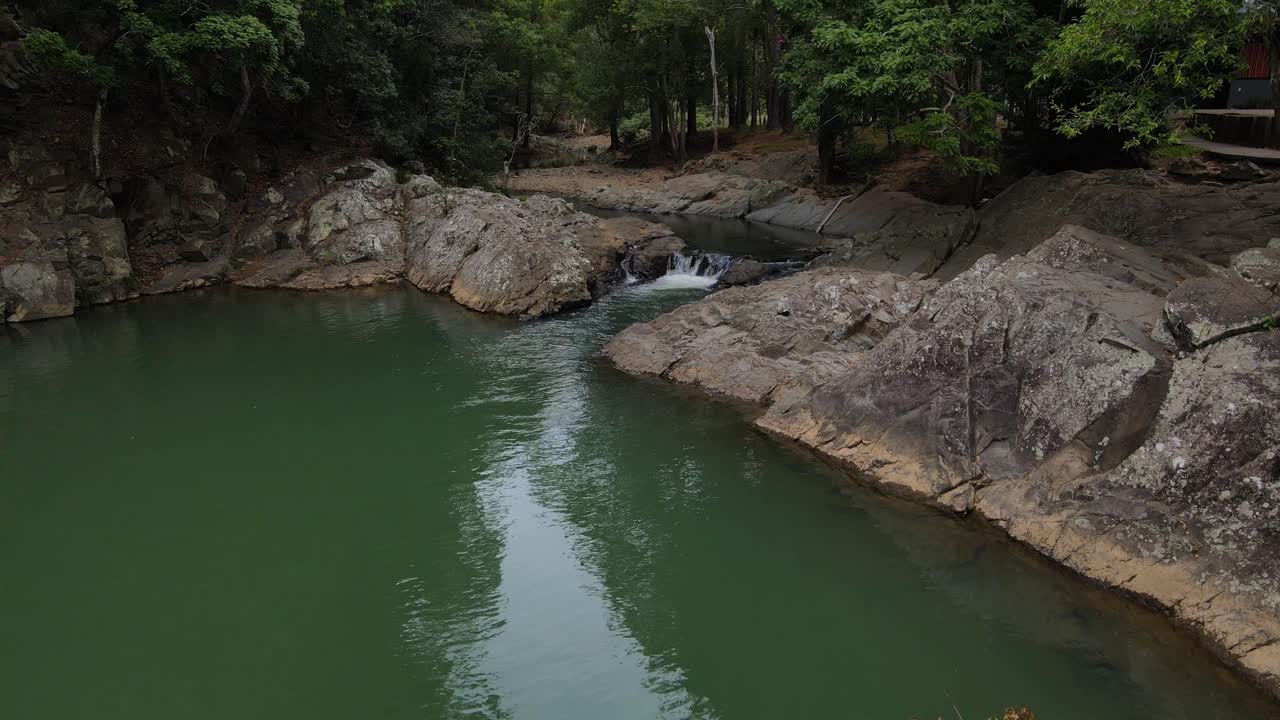 rama de árbol flotando en el agua tranquila de las piscinas rocosas del valle de currumbin en gold coast, australia